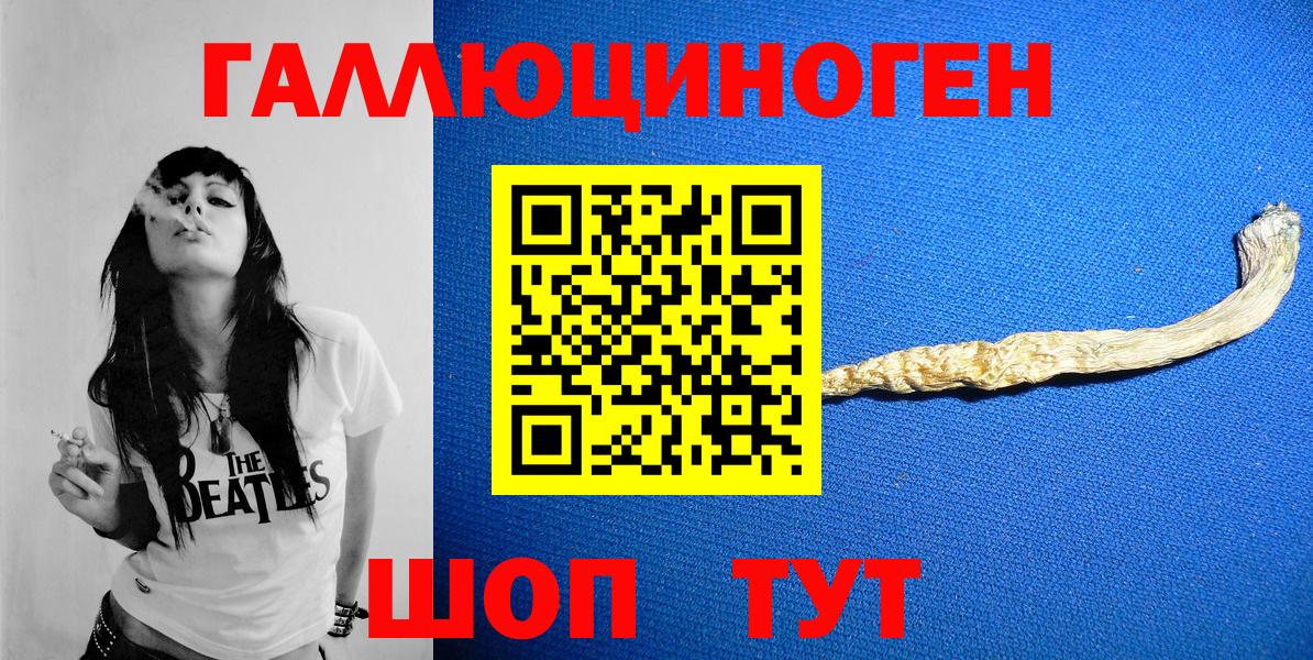 Галлюциногенные грибы Psilocybe Апатиты